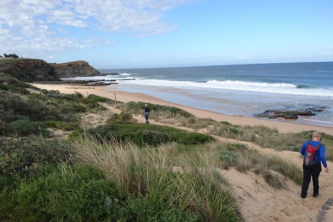 Phillip Island, George Bass Coastal Walk And Penguins Tour - Holiday Find 1