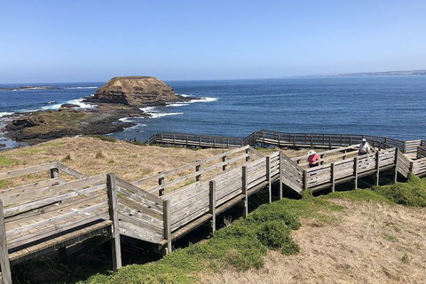 Phillip Island, George Bass Coastal Walk And Penguins Tour - Holiday Find 7