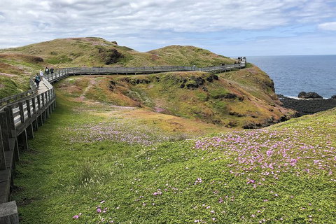 Phillip Island, George Bass Coastal Walk And Penguins Tour - Holiday Find 6