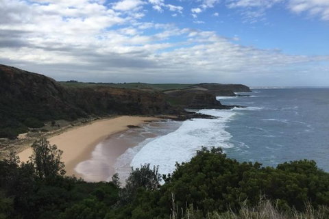 Phillip Island, George Bass Coastal Walk And Penguins Tour - Holiday Find 2