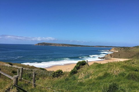 Phillip Island, George Bass Coastal Walk And Penguins Tour - Holiday Find 3