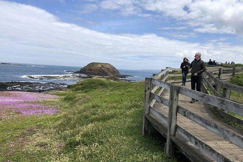 Phillip Island, George Bass Coastal Walk And Penguins Tour - Holiday Find 12