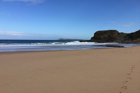 Phillip Island, George Bass Coastal Walk And Penguins Tour - Holiday Find 8