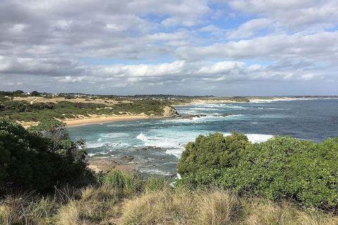 Phillip Island, George Bass Coastal Walk And Penguins Tour - Holiday Find 5