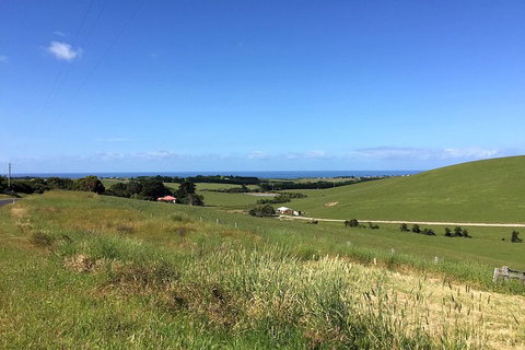 Phillip Island, George Bass Coastal Walk And Penguins Tour - Holiday Find 10