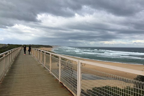 Phillip Island, George Bass Coastal Walk And Penguins Tour - Holiday Find 11