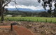 Yarra Valley Wine Tour Inc Lunch With A Glass Of Wine, Tastings And Chocolate - thumb 9