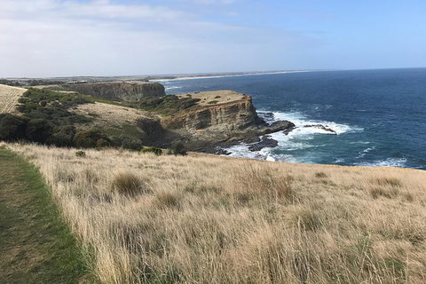 Penguins Walks And Wildlife In The Wild - Holiday Find 1