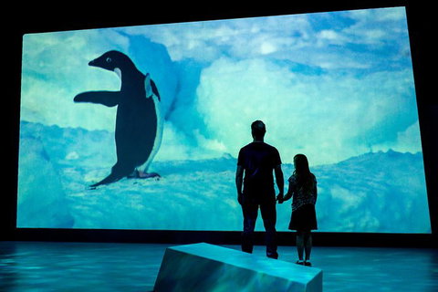 Phillip Island Penguin Highlights Day-Trip From Melbourne - Holiday Find 9