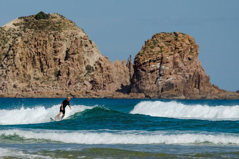 Phillip Island Penguin Highlights Day-Trip From Melbourne - Holiday Find 7
