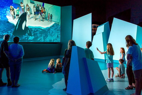 Phillip Island Penguin Highlights Day-Trip From Melbourne - Holiday Find 3