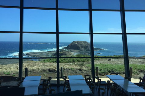 Phillip Island Penguin Highlights Day-Trip From Melbourne - Holiday Find 15