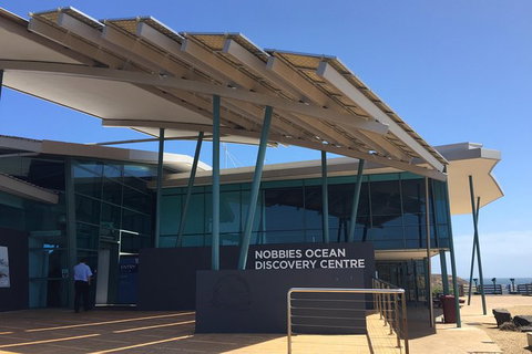 Phillip Island Penguin Highlights Day-Trip From Melbourne - Holiday Find 17