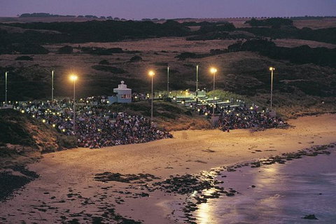 Phillip Island Penguin Highlights Day-Trip From Melbourne - Holiday Find 11