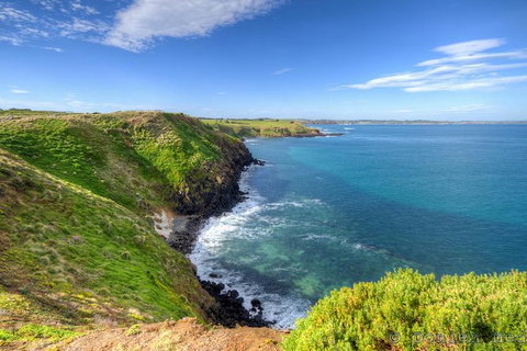 Phillip Island Penguin Highlights Day-Trip From Melbourne - Holiday Find 8