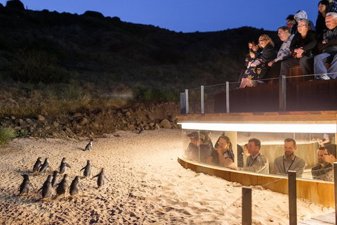 Phillip Island Penguin Highlights Day-Trip From Melbourne - Holiday Find 12