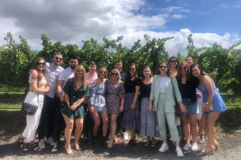 Yarra Valley Public Winery Tours - Holiday Find 16