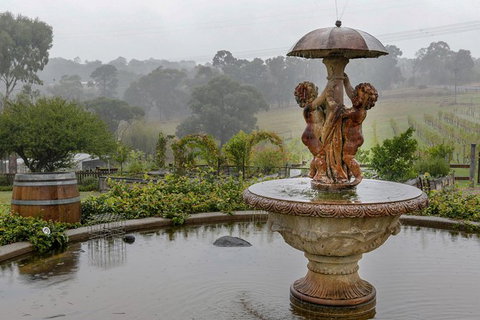 Yarra Valley Public Winery Tours - Holiday Find 6