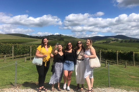 Yarra Valley Public Winery Tours - Holiday Find 15