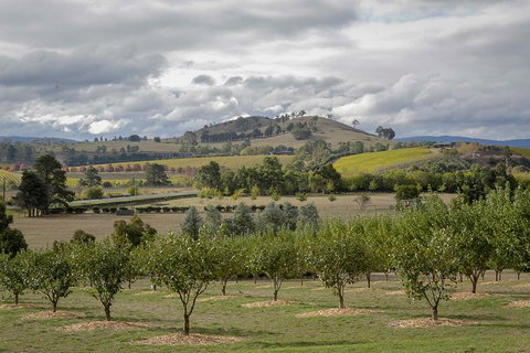 Yarra Valley Public Winery Tours - Holiday Find 5