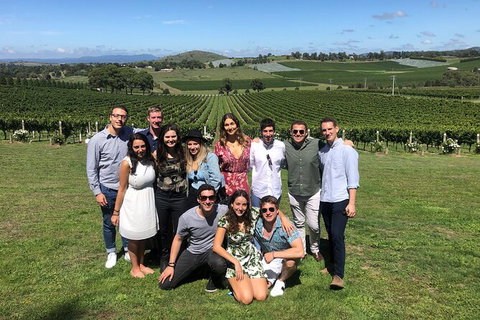 Yarra Valley Public Winery Tours - Holiday Find 21