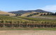 Yarra Valley Public Winery Tours - thumb 17