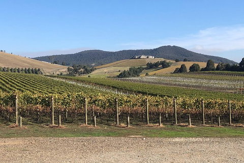 Yarra Valley Public Winery Tours - Holiday Find 17