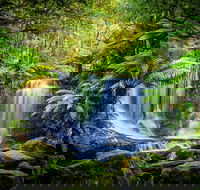 Day Tour in Mt. Field Mt. Wellington Bonorong Wildlife Sanctuary and Richmond - Holiday Find