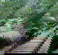 Small-group DayTour from Hobart Hastings Caves Huon Valley and Tahune AirWalk - Holiday Find