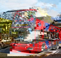 Hobart Hop-on Hop-off Bus Tour - Holiday Find