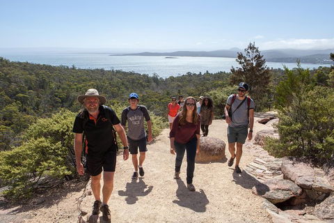 Full-Day Tour One-Way From Launceston To Hobart With Freycinet National Park - Holiday Find 6