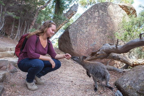 Full-Day Tour One-Way From Launceston To Hobart With Freycinet National Park - Holiday Find 10