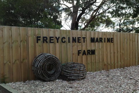 Full-Day Tour One-Way From Launceston To Hobart With Freycinet National Park - Holiday Find 8