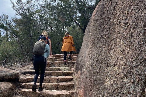 Wineglass Bay Explorer Active Day Trip From Launceston - Holiday Find 6