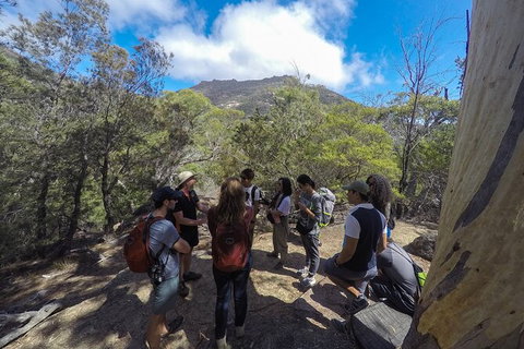 Wineglass Bay Explorer Active Day Trip From Launceston - Holiday Find 3