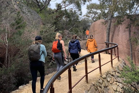 Wineglass Bay Explorer Active Day Trip From Launceston - Holiday Find 14