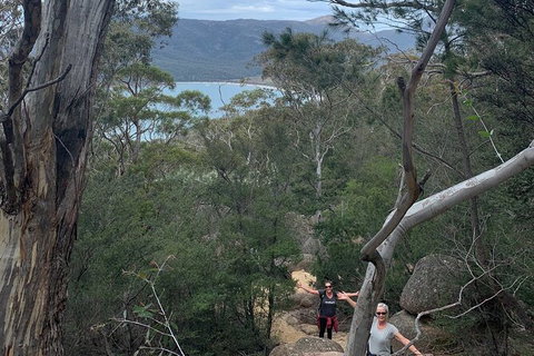 Wineglass Bay Explorer Active Day Trip From Launceston - Holiday Find 13