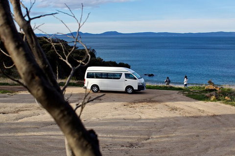 Wineglass Bay Explorer Active Day Trip From Launceston - Holiday Find 10