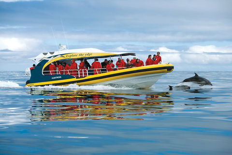 3-Hour Tasman Peninsula Wilderness Cruise From Port Arthur - Holiday Find 5