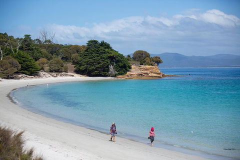 Maria Island Active Day Trip From Hobart - Holiday Find 1