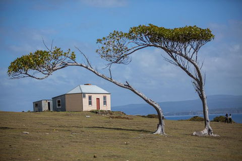 Maria Island Active Day Trip From Hobart - Holiday Find 3