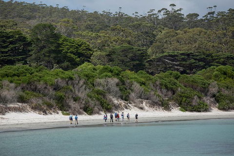 Maria Island Active Day Trip From Hobart - Holiday Find 11