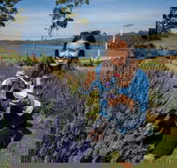 Port Arthur and Lavender Farm Active Day Tour - Holiday Find