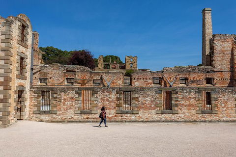 Port Arthur And Lavender Farm Active Day Tour - Holiday Find 1