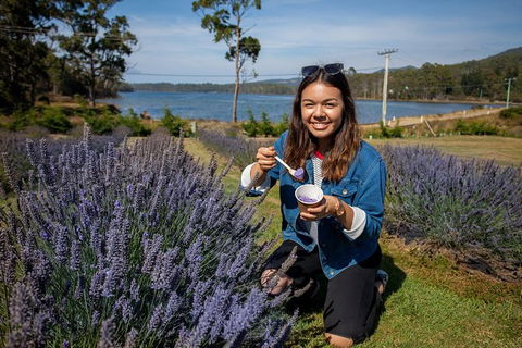 Port Arthur And Lavender Farm Active Day Tour - Holiday Find 2