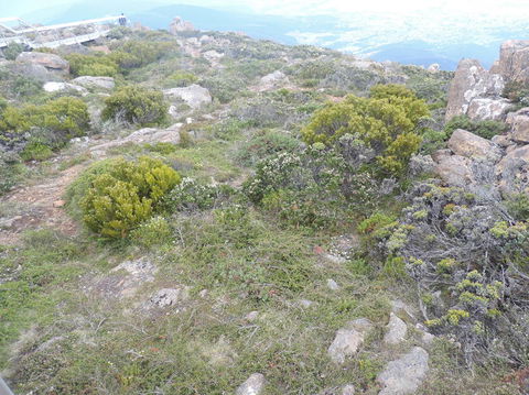 Mt Wellington Tour And MONA Admission - Holiday Find 8