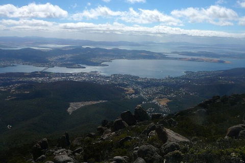 Mt Wellington Tour And MONA Admission - Holiday Find 15