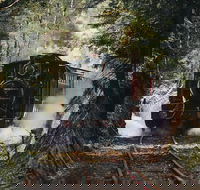 West Coast Wilderness Railway River and Rainforest from Strahan - Holiday Find