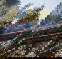 West Coast Wilderness Railway Queenstown Explorer from Strahan - Holiday Find