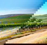 Full Day Tamar Valley Wine Tour - Holiday Find
